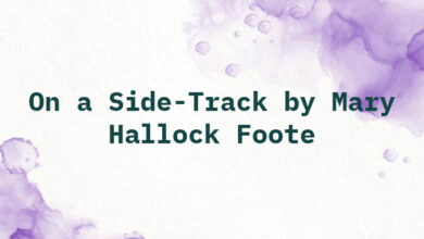 On a Side-Track by Mary Hallock Foote