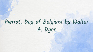 Pierrot, Dog of Belgium by Walter A. Dyer