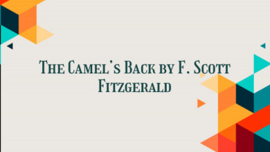 The Camel’s Back by F. Scott Fitzgerald