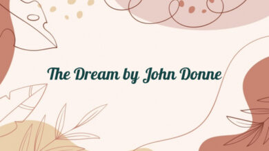 The Dream by John Donne