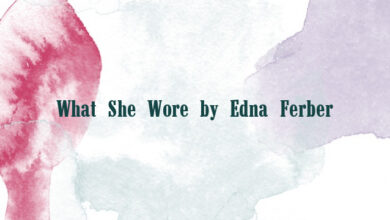 What She Wore by Edna Ferber