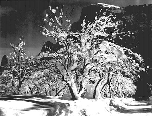 Ansel Adams, Half-dome, apple orchard, Yosemite, 1931