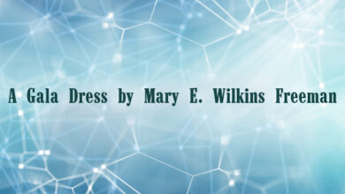 A Gala Dress by Mary E. Wilkins Freeman