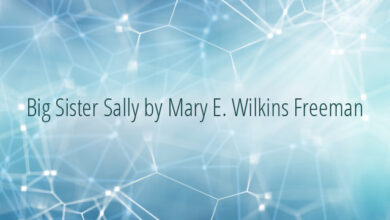 Big Sister Sally by Mary E. Wilkins Freeman