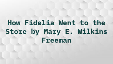 How Fidelia Went to the Store by Mary E. Wilkins Freeman