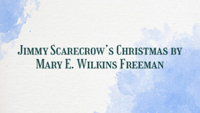 Jimmy Scarecrow’s Christmas by Mary E. Wilkins Freeman