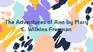 The Adventures of Ann by Mary E. Wilkins Freeman