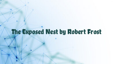 The Exposed Nest by Robert Frost