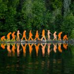 Steves In Support Of Evolution