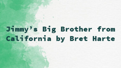 Jimmy’s Big Brother from California by Bret Harte