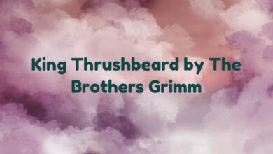 King Thrushbeard by The Brothers Grimm