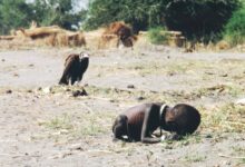 The vulture and the little girl, 1993. Original title: Struggling Girl.