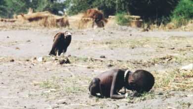 The vulture and the little girl, 1993. Original title: Struggling Girl.