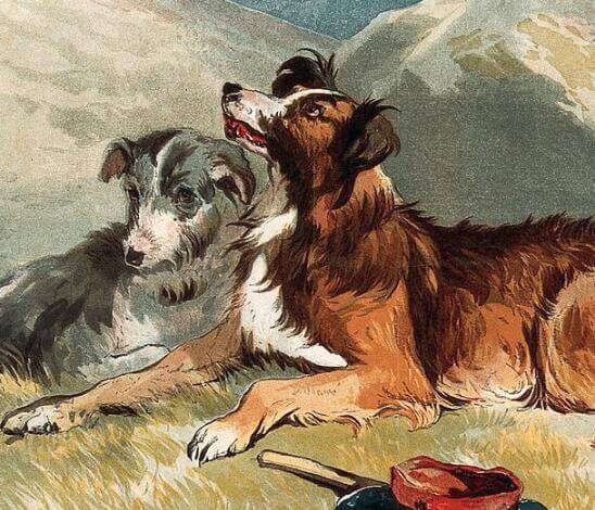 Frederick Tayler, Sheepdogs in the mountains, date unknown