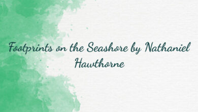 Footprints on the Seashore by Nathaniel Hawthorne