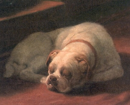 Arthur Heyer, Bulldog sound asleep, 1936