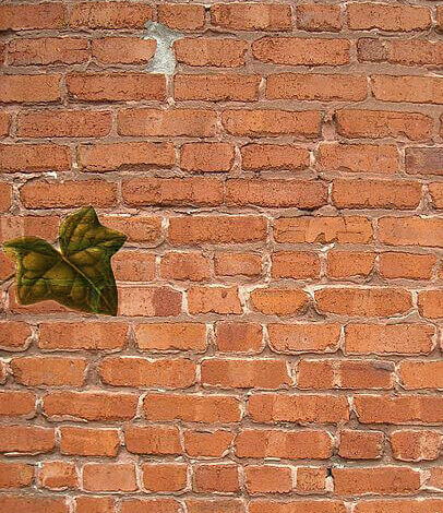 Atticus Ezis, composite of leaf on brick, 2017