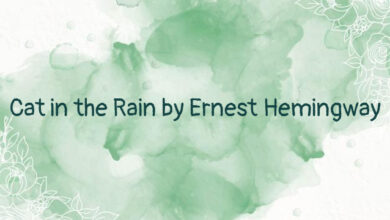 Cat in the Rain by Ernest Hemingway