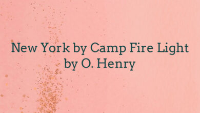 New York by Camp Fire Light by O. Henry