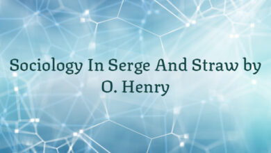 Sociology In Serge And Straw by O. Henry