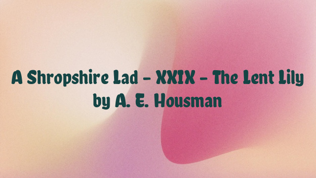 A Shropshire Lad – XXIX – The Lent Lily by A. E. Housman