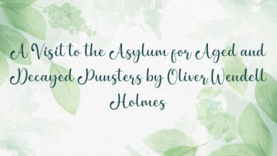 A Visit to the Asylum for Aged and Decayed Punsters by Oliver Wendell Holmes