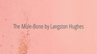 The Mule-Bone by Langston Hughes