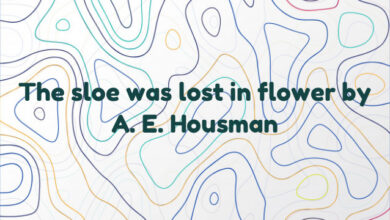 The sloe was lost in flower by A. E. Housman