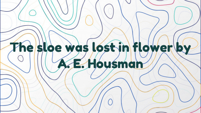 The sloe was lost in flower by A. E. Housman