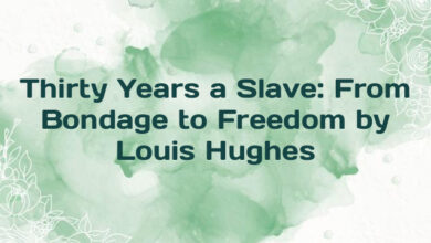 Thirty Years a Slave: From Bondage to Freedom by Louis Hughes