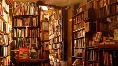 Alexandre Duret-Lutz, Shakespeare and Company Bookshop, Paris, 2006