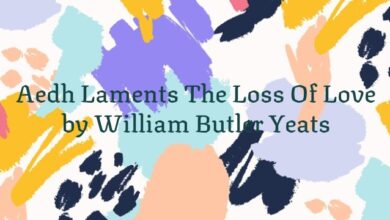 Aedh Laments The Loss Of Love by William Butler Yeats