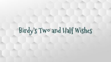 Birdy’s Two and Half Wishes