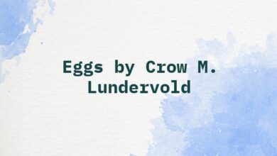 Eggs by Crow M. Lundervold