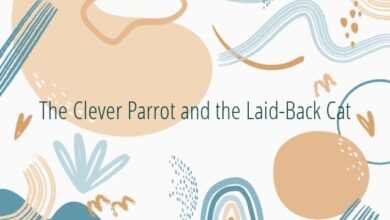 The Clever Parrot and the Laid-Back Cat