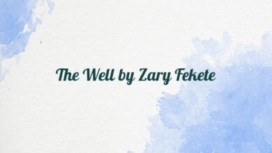 The Well by Zary Fekete