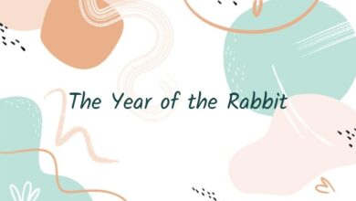 The Year of the Rabbit