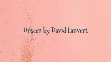 Unseen by David Lanvert